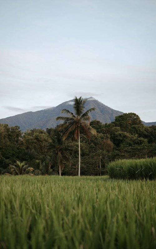 Dominican Republic - Mountains View 2
